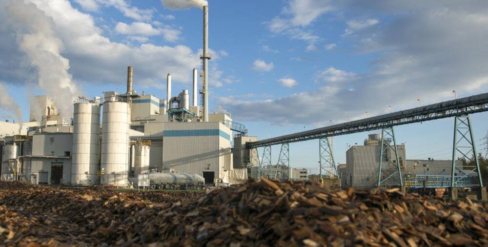 Domtar passe aux mains d’une entreprise britannocolombienne TVA