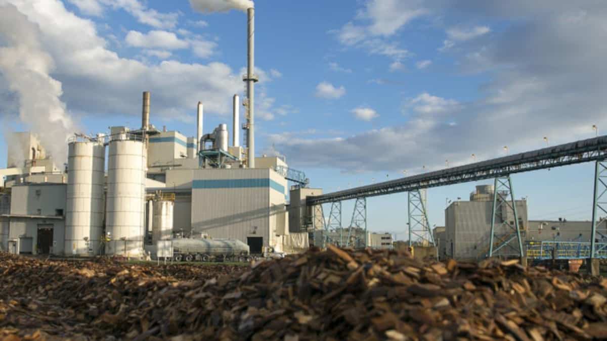Domtar passe aux mains d’une entreprise britannocolombienne TVA