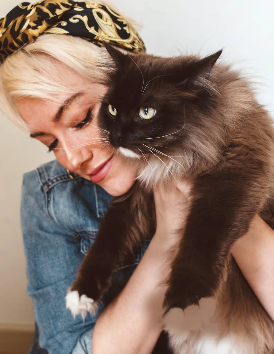 Les Femmes A Chats Creuser Sous Les Prejuges Clin D œil Les Femmes A Chats Creuser Sous Les Prejuges Clin D œil