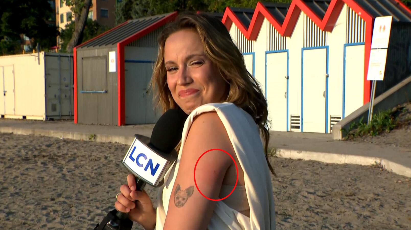 Géraldine Lamarche se fait piquer par une guêpe en direct 24 heures