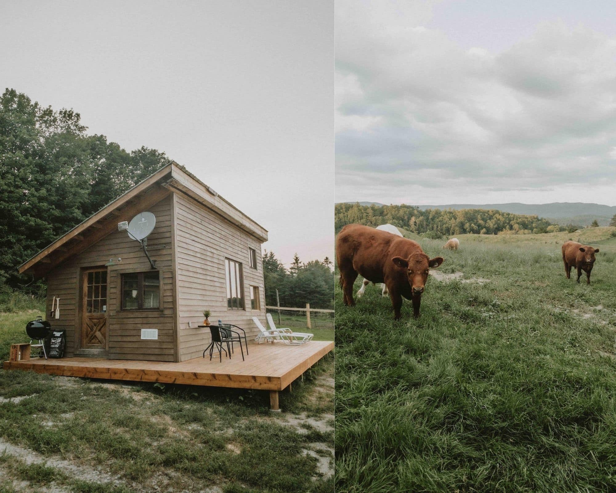 Une minimaison à louer sur une ferme en Outaouais