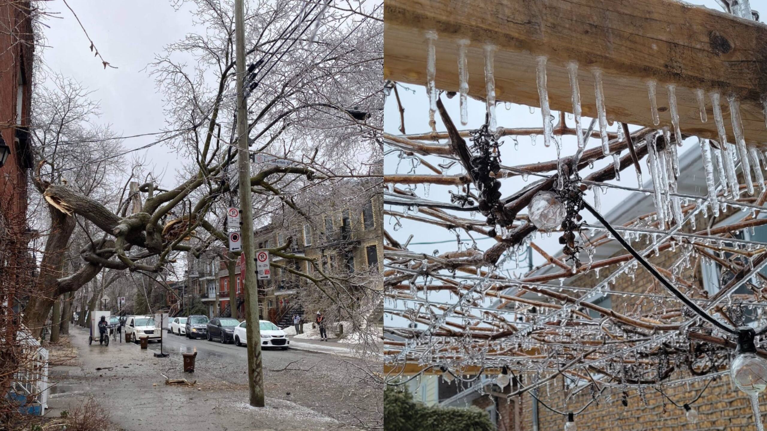 Verglas Ridge 11 images incroyables du verglas qui frappe le Québec partagées par les ...