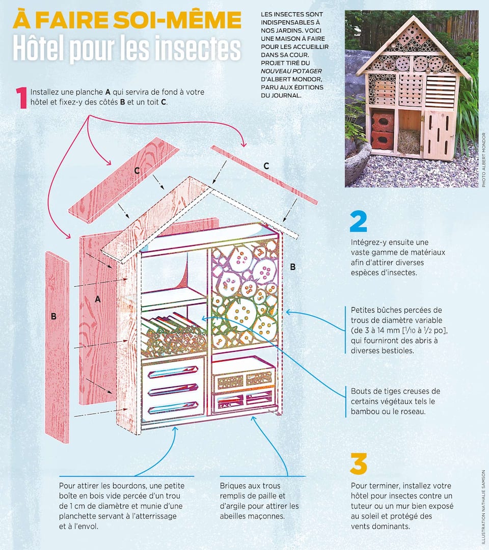H tel Pour Les Insectes Faire Soi m me JDQ h-tel-pour-les-insectes-faire-soi-m-me-jdq