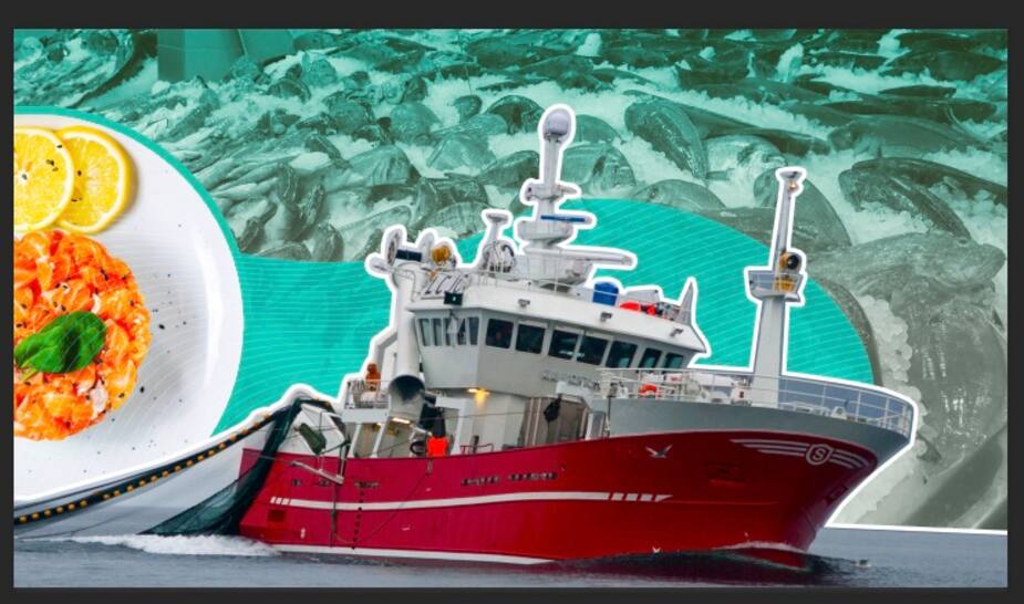 Image principale de l'article La pêche au Canada est-elle SI dévastatrice?