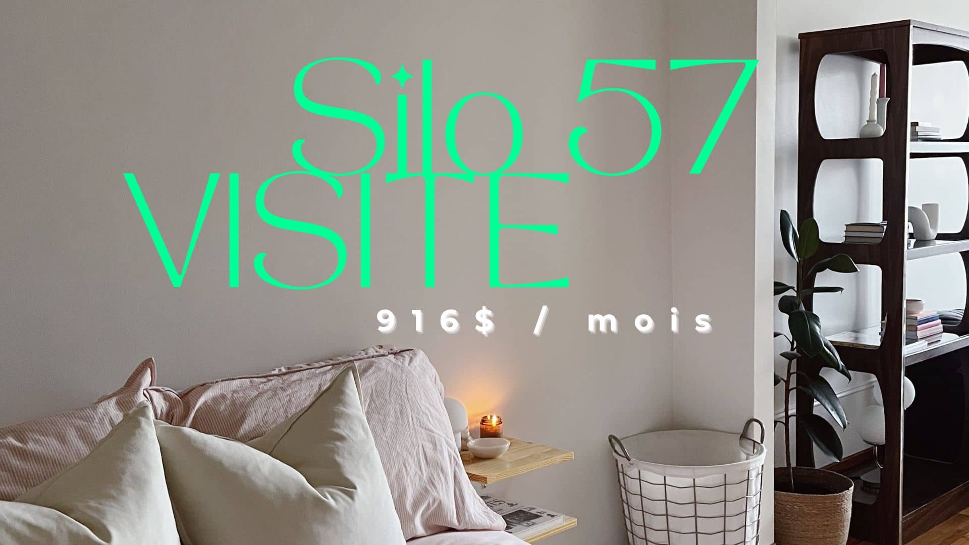 916$ par mois dans Rosemont-La Petite-Patrie