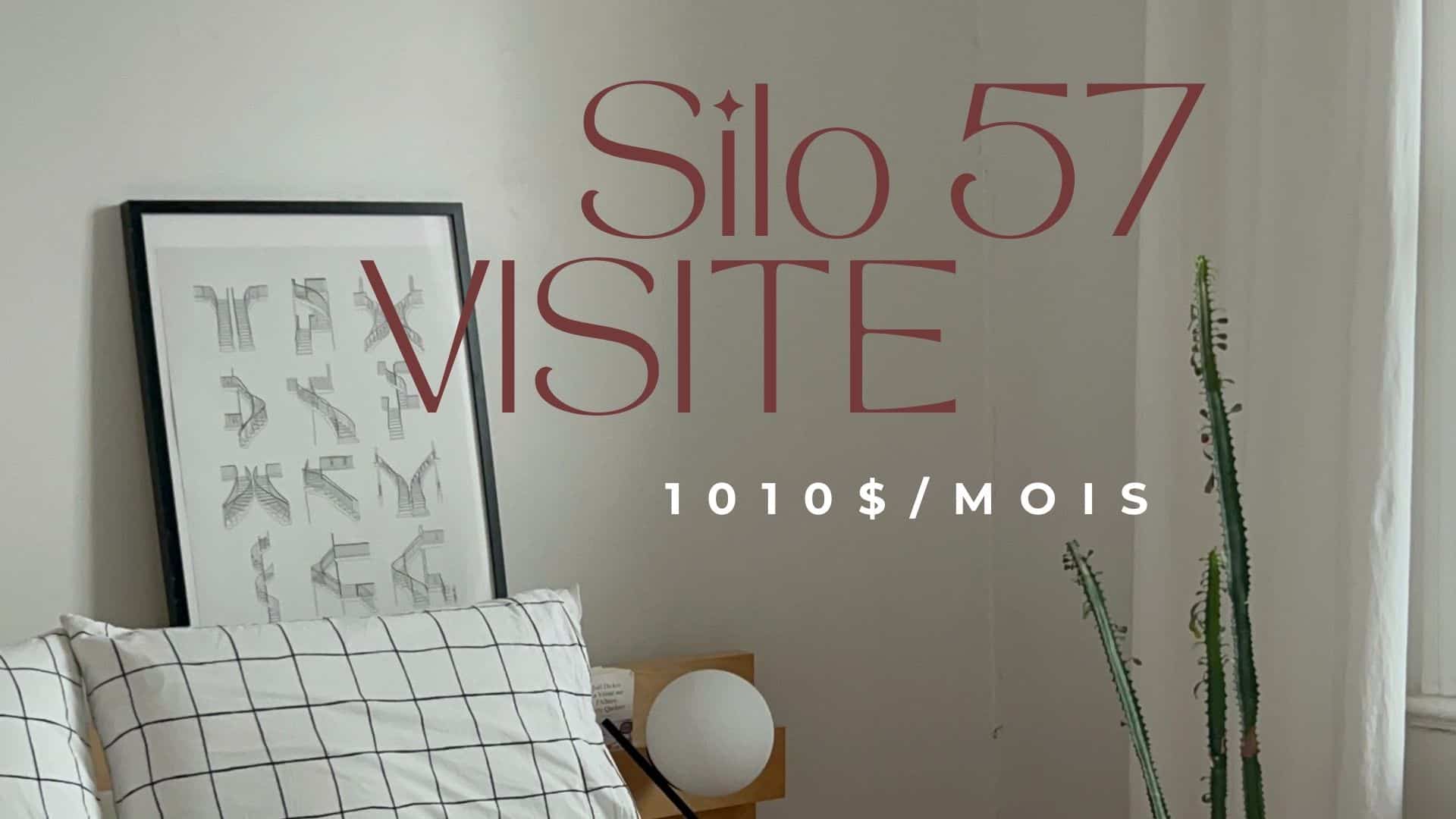Un appartement à 1010$ par mois sur le Plateau