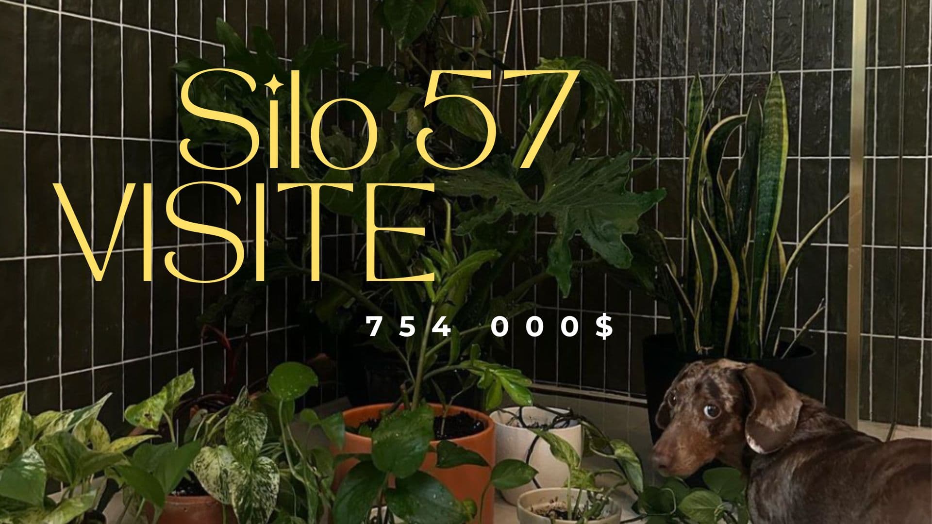 Image principale de l'article Un condo à 754 000$ dans la Petite-Italie 