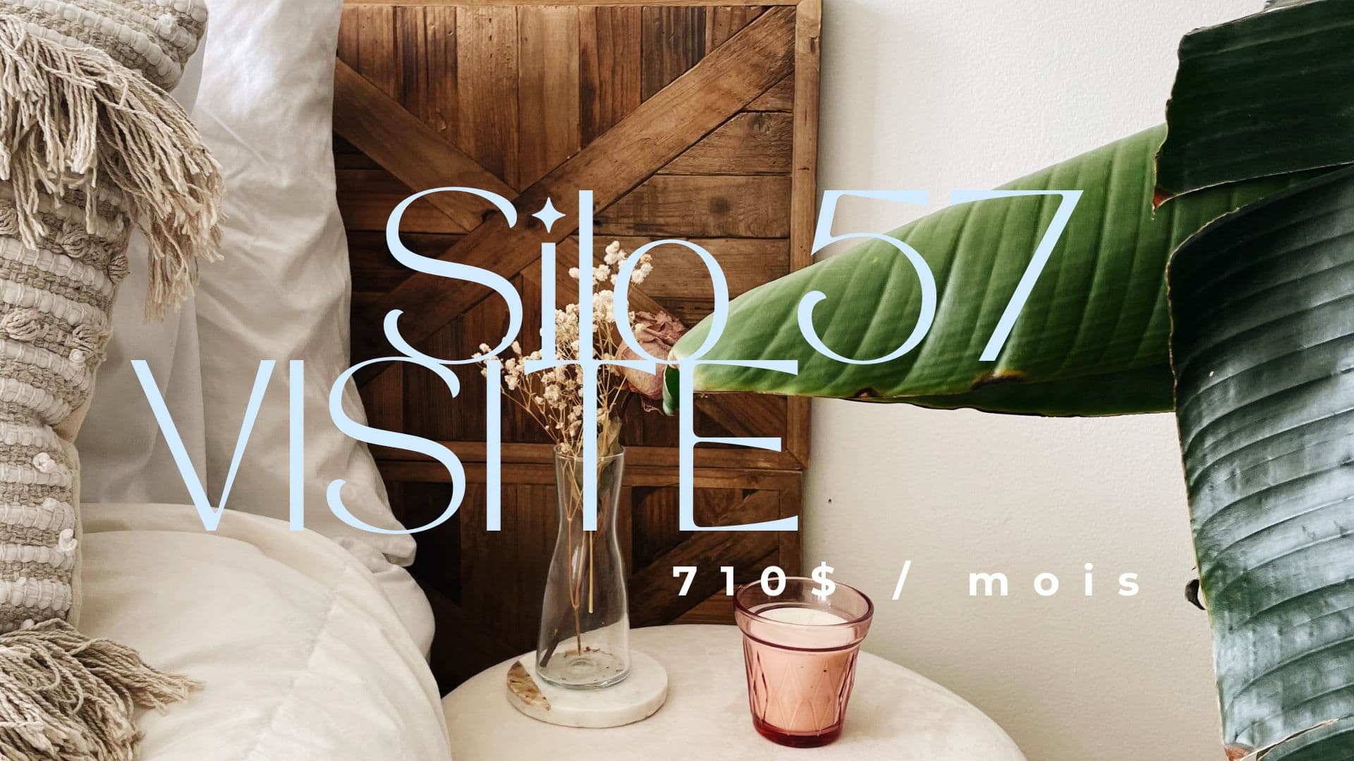 Un appartement à 710$ par mois dans Hochelaga