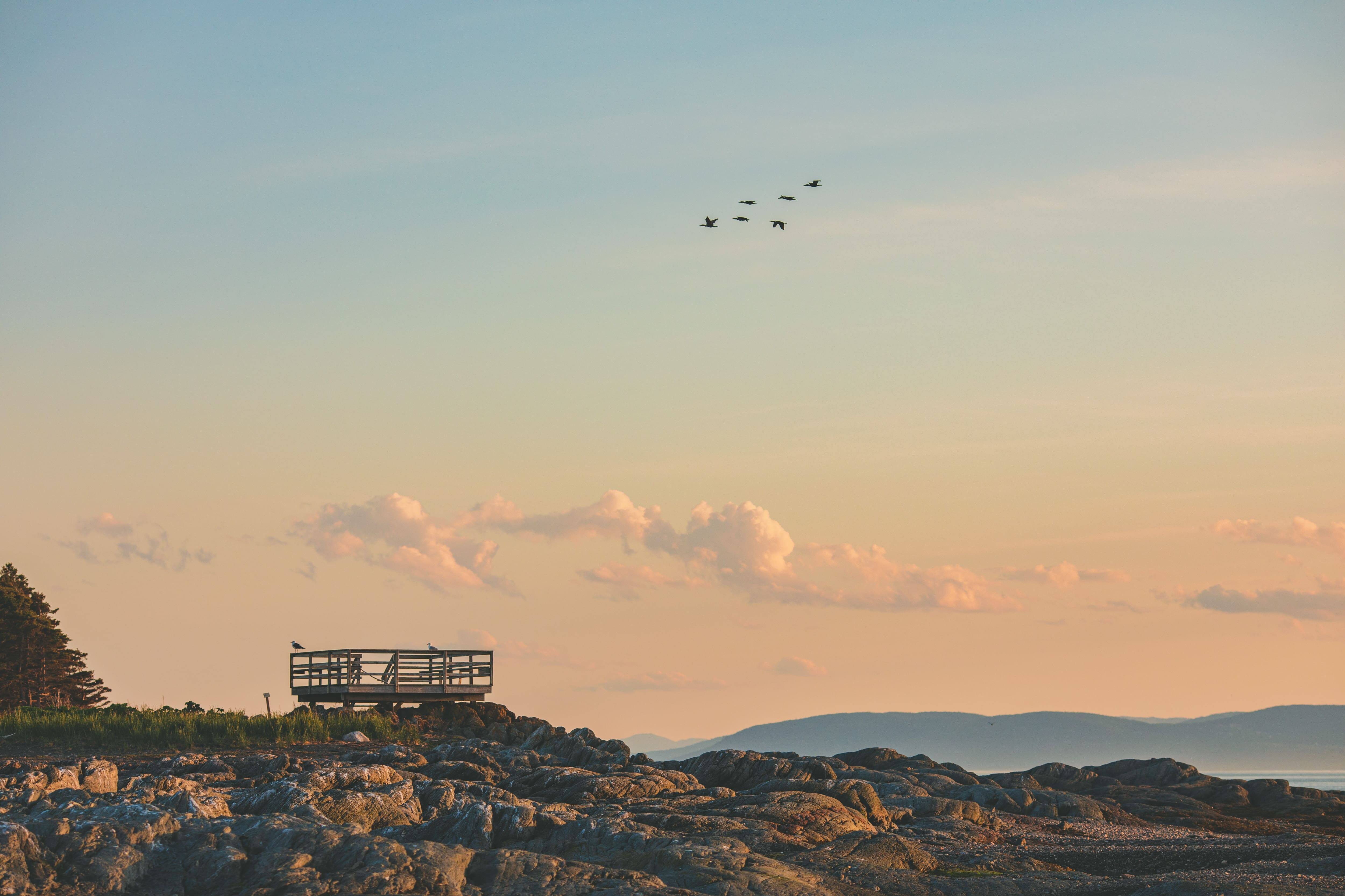 4 adresses &agrave; d&eacute;couvrir absolument dans le Bas-Saint-Laurent