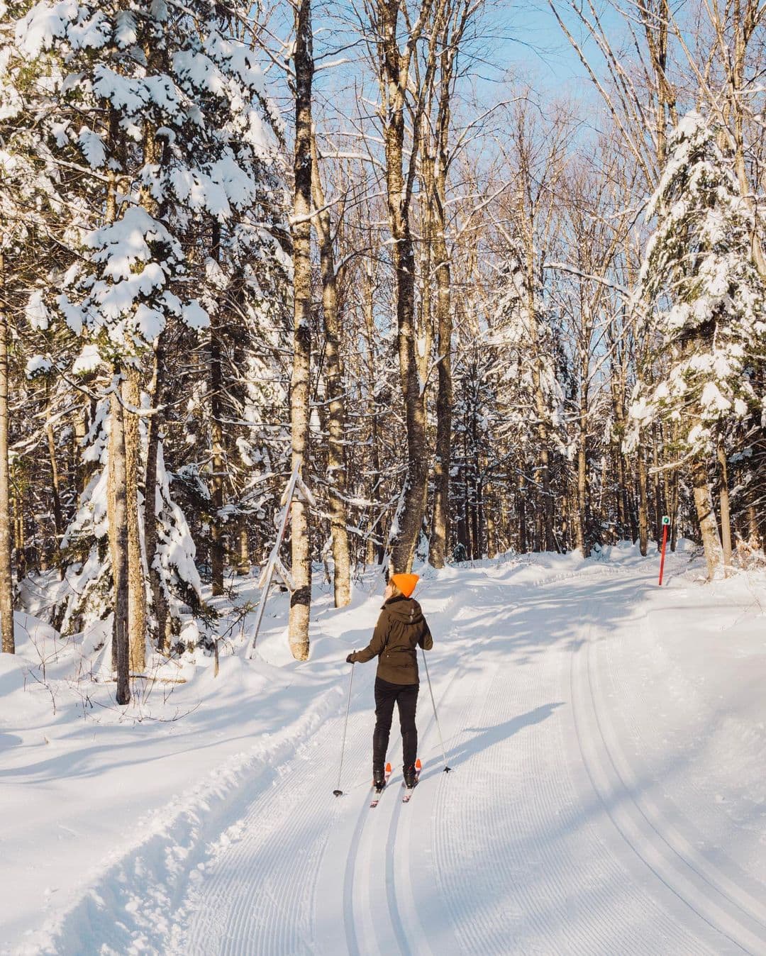 Top 10 des endroits pour faire du ski de fond 