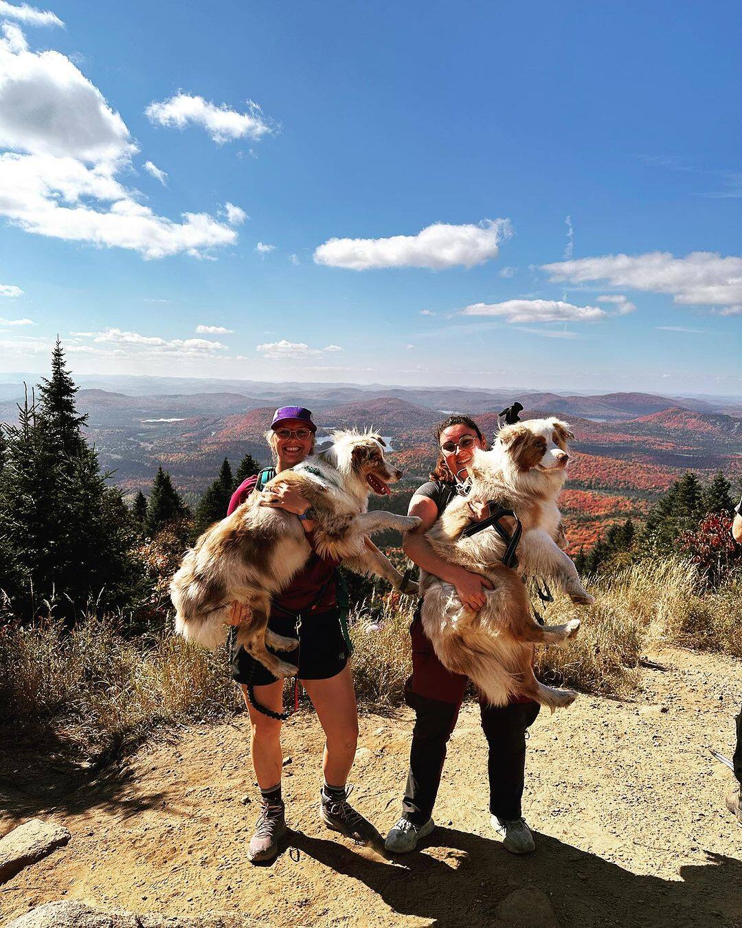 17 belles randos à faire avec son chien au Québec