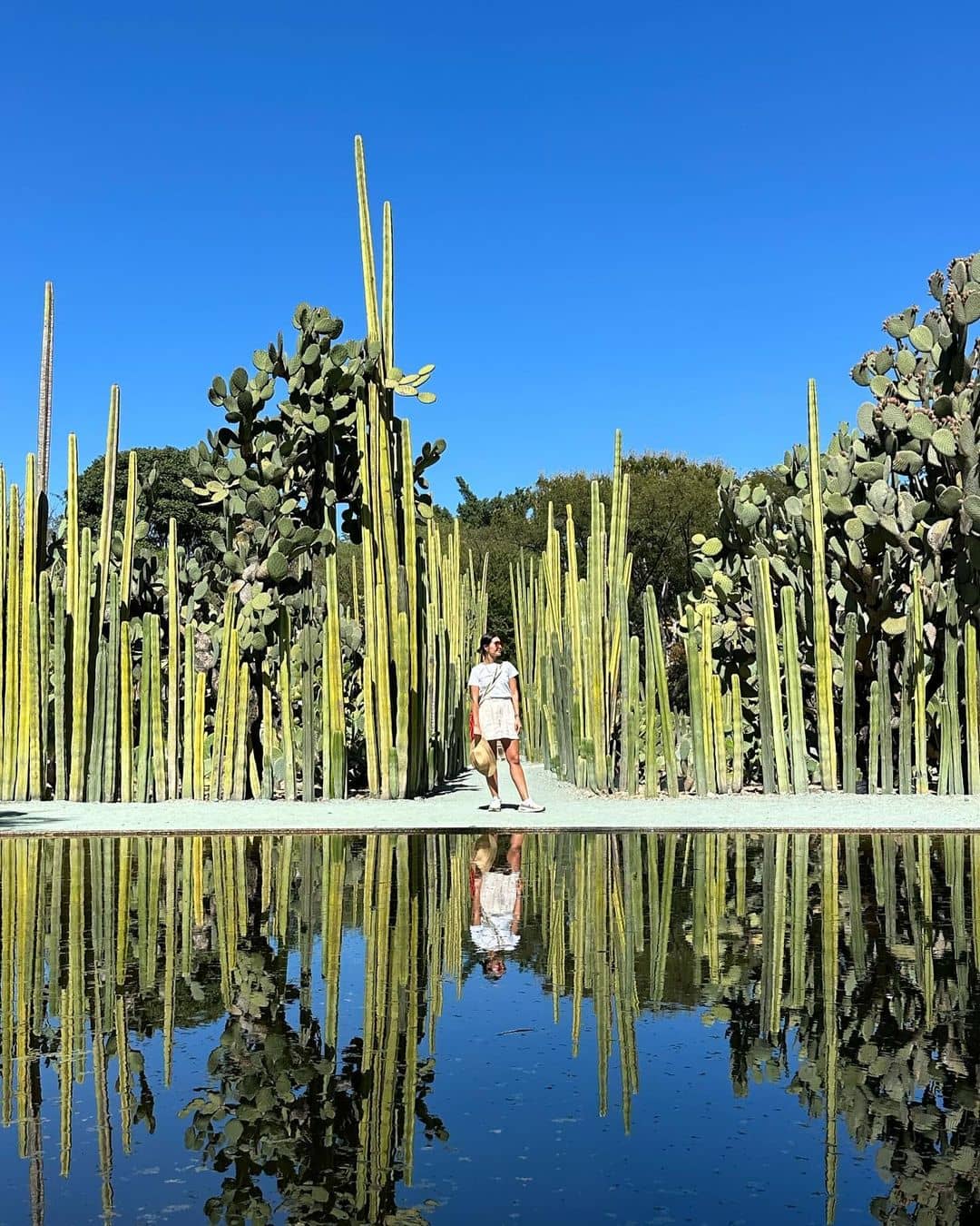 7 villes du Mexique à ajouter sur votre liste