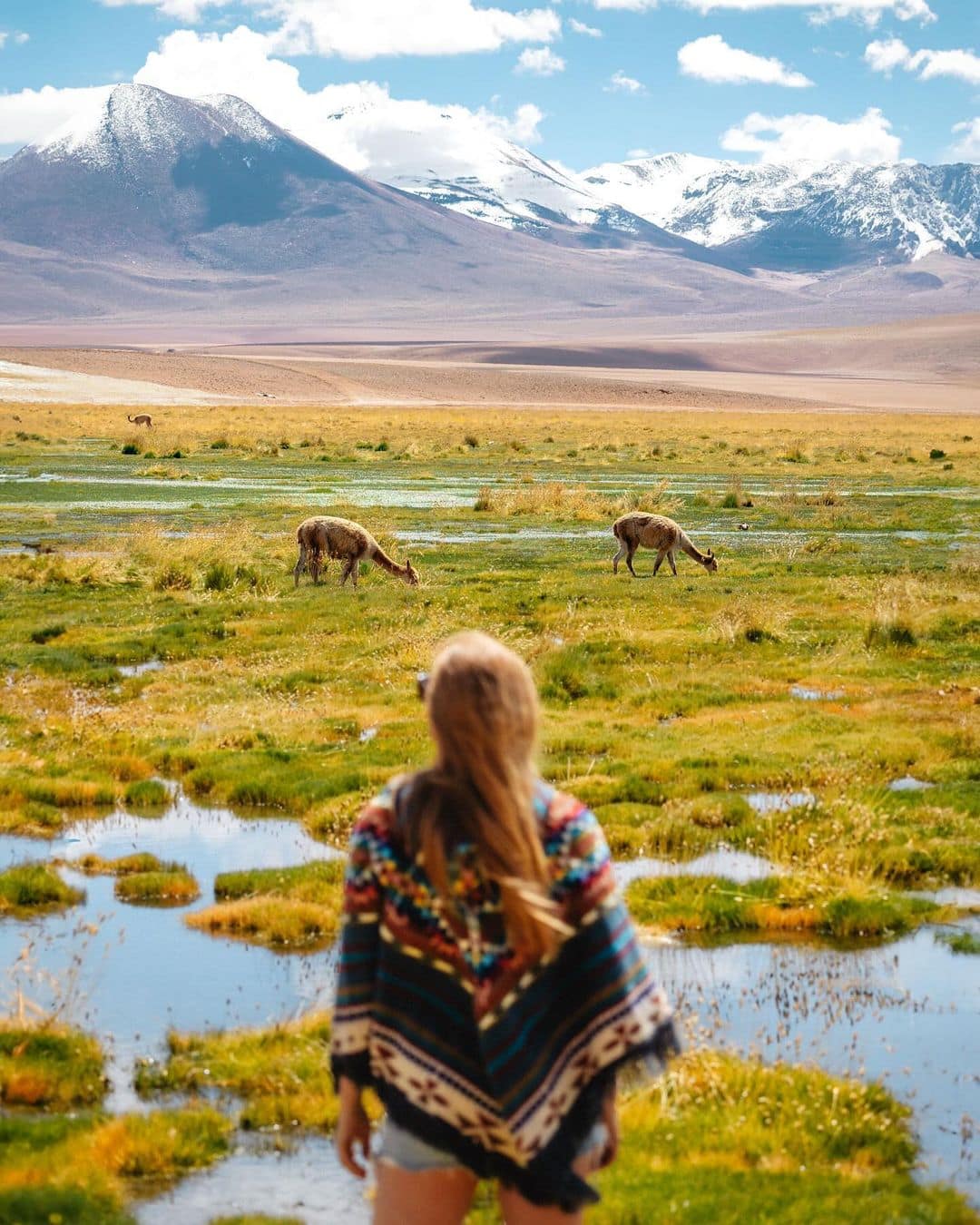 Des vols aller-retour pour le Chili à 459$ (!) 