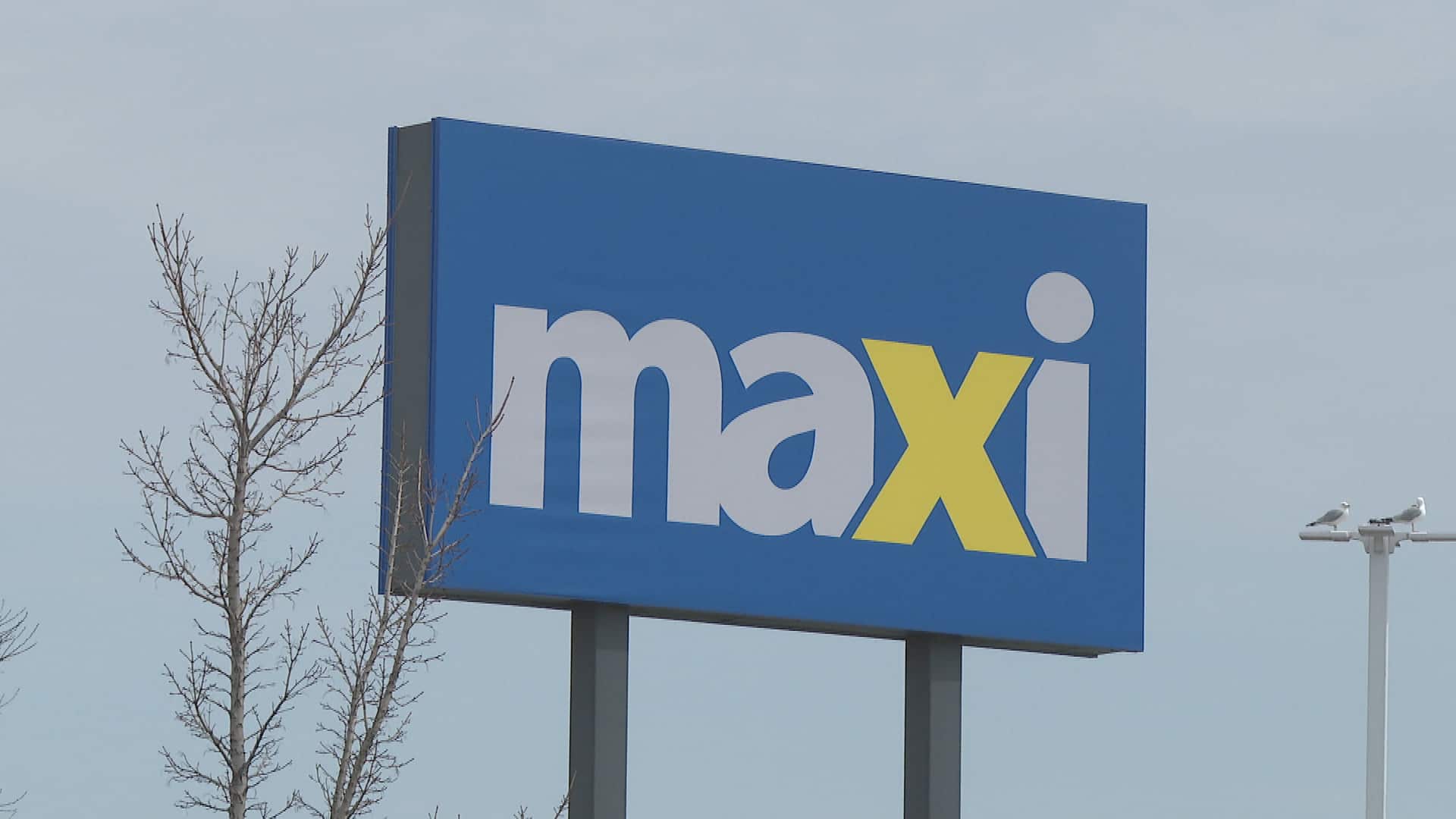 Garantie de fraîcheur Maxi: des chicanes à prévoir à l’épicerie?
