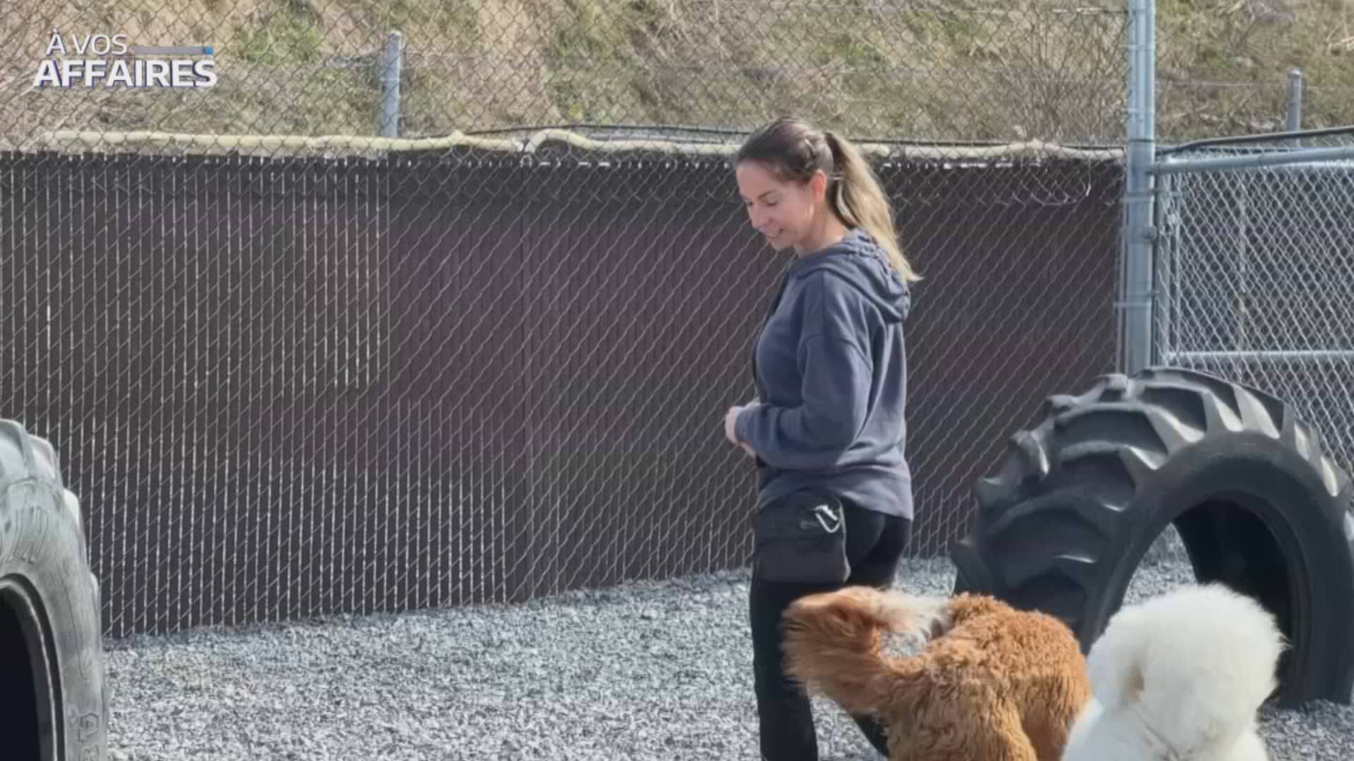 Une patronne qui aime ses employ&eacute;s et ses animaux