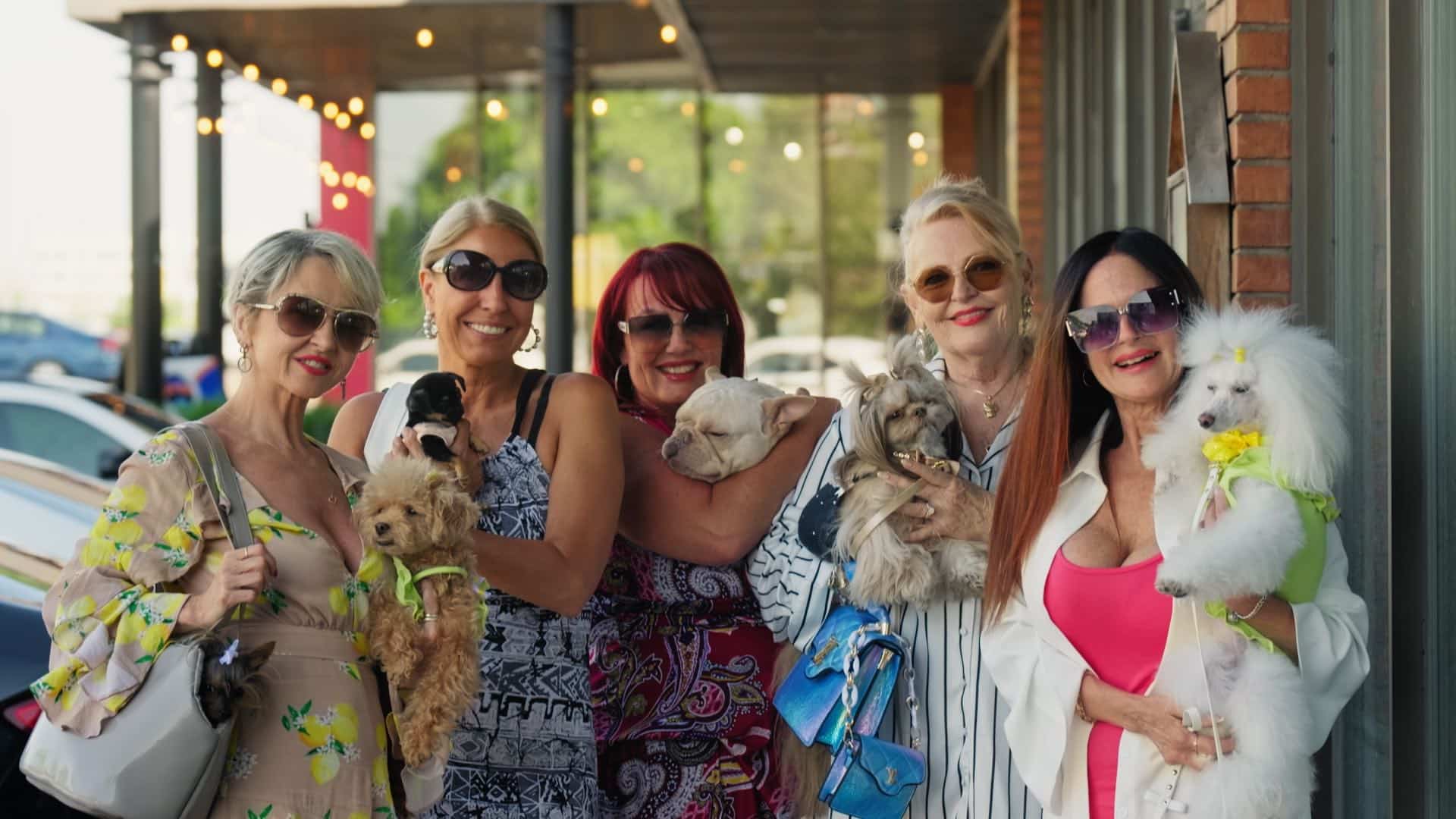 Découvrez les vedettes de l'émission