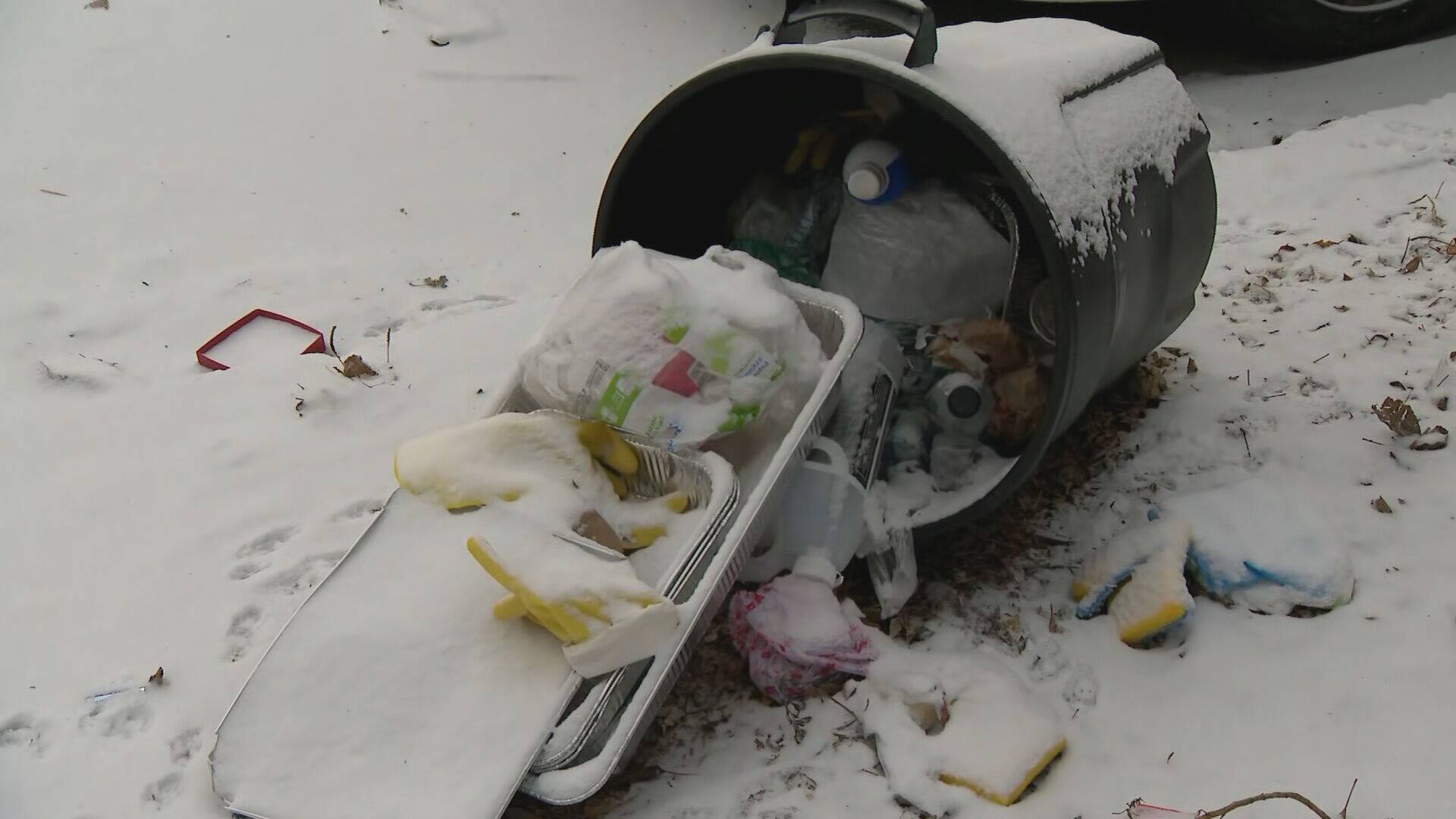 Recrudescence de d&eacute;chets &agrave; Montr&eacute;al: la Ville demande la collaboration des citoyens