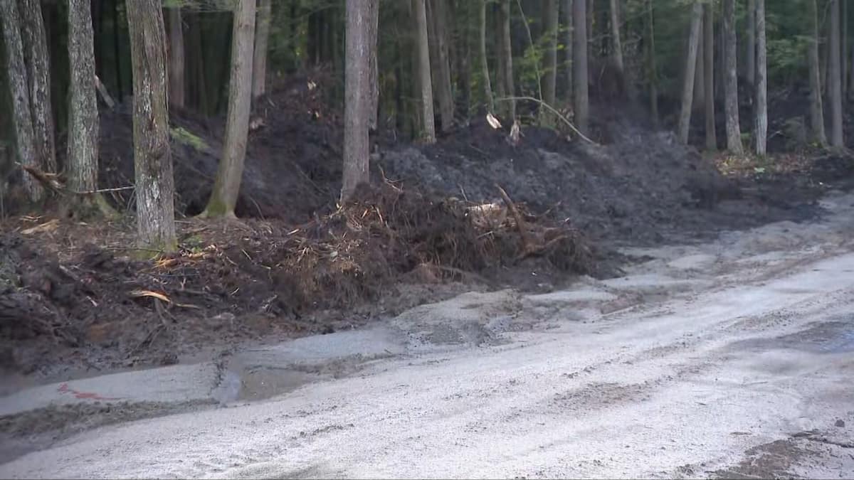 «Ça demande plus qu’une simple amende»: des citoyens dénoncent un déboisement massif dans une municipalité de Lanaudière