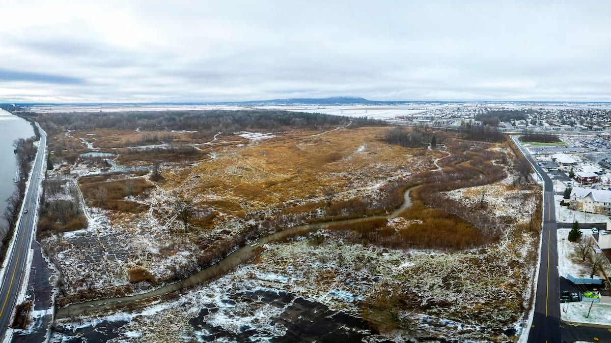 Filière batterie: un ferrailleur achète les restes de Northvolt
