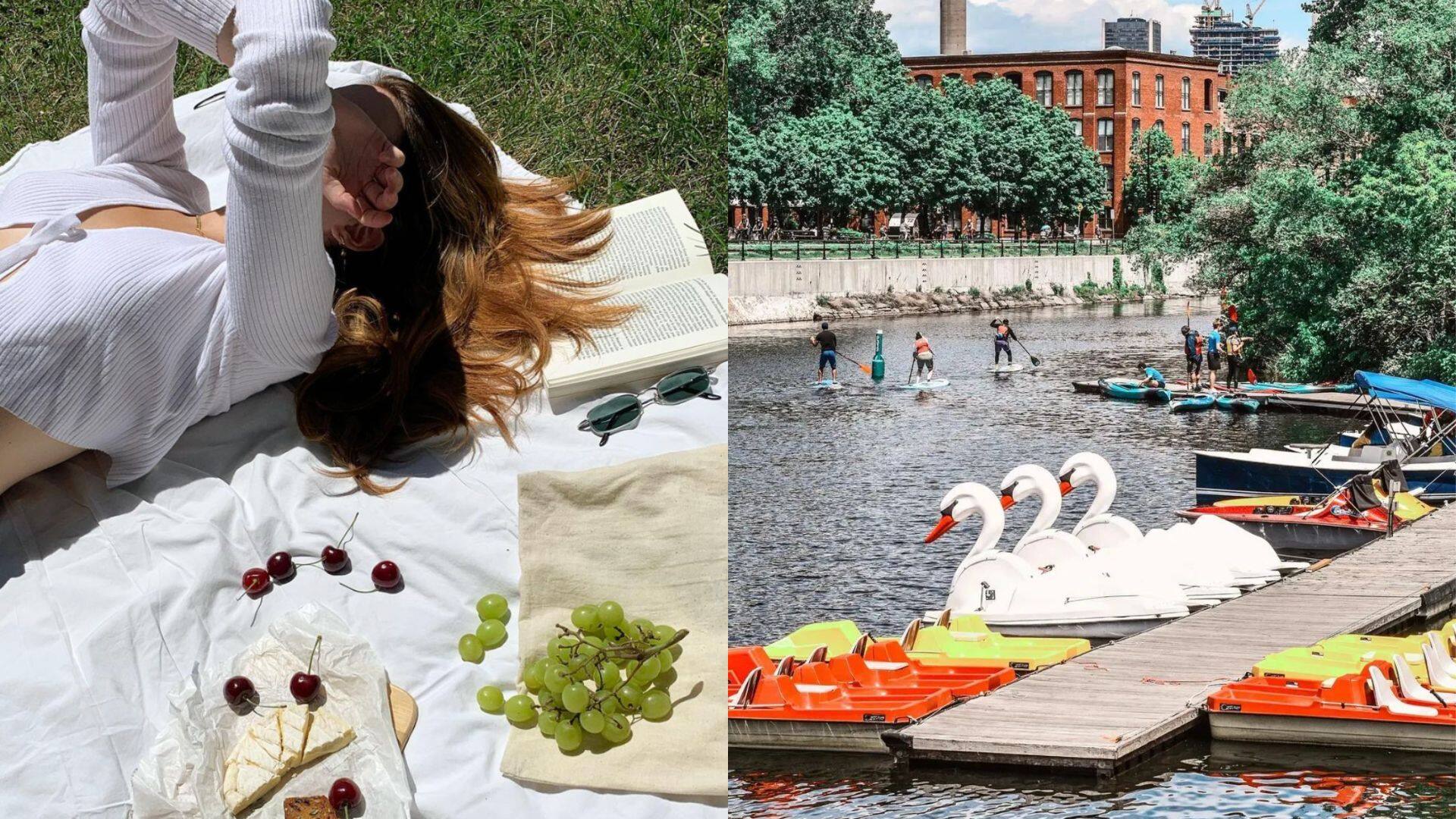 Les meilleurs parcs de la métropole