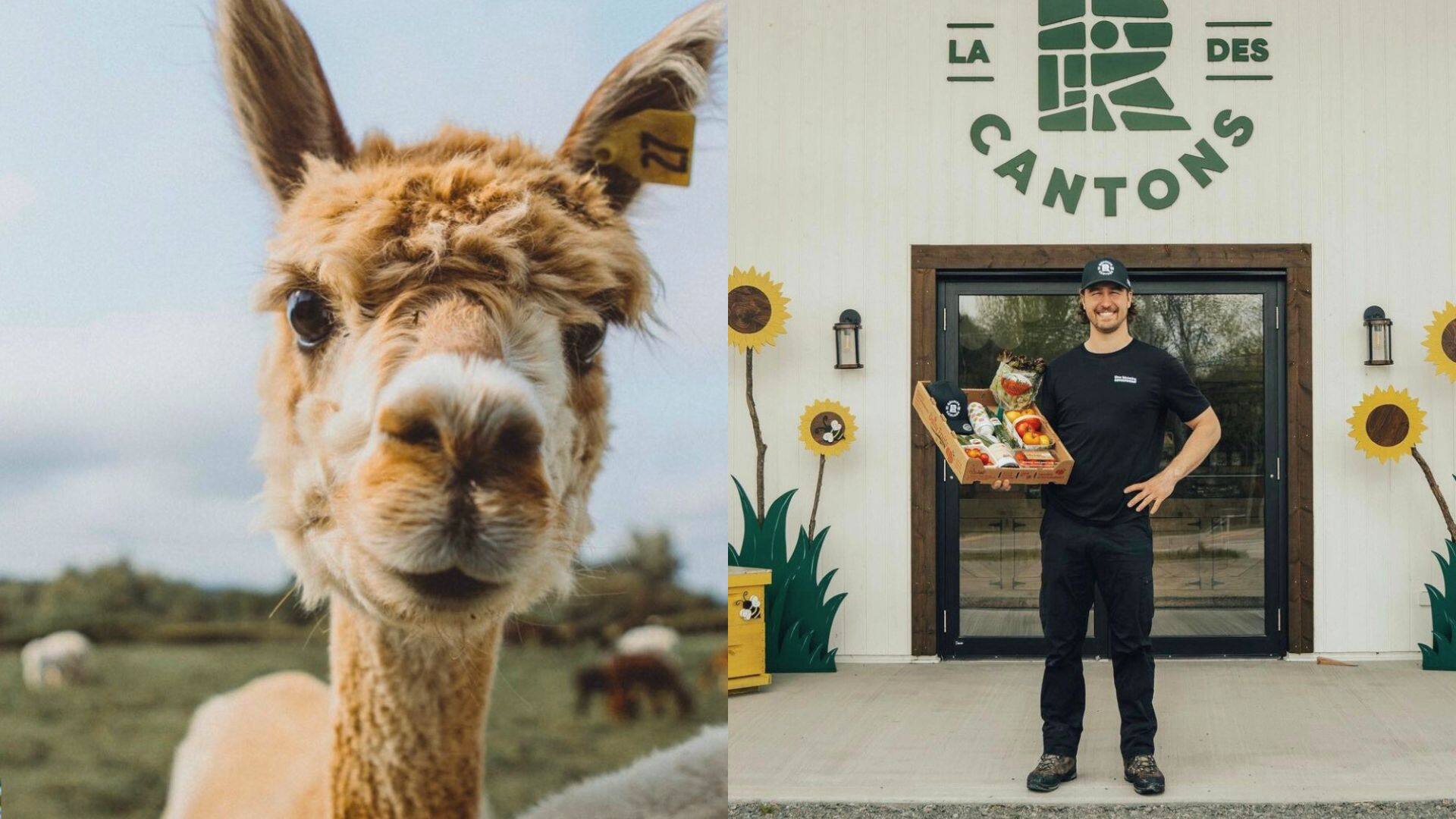 15 activités et endroits à visiter à Bromont