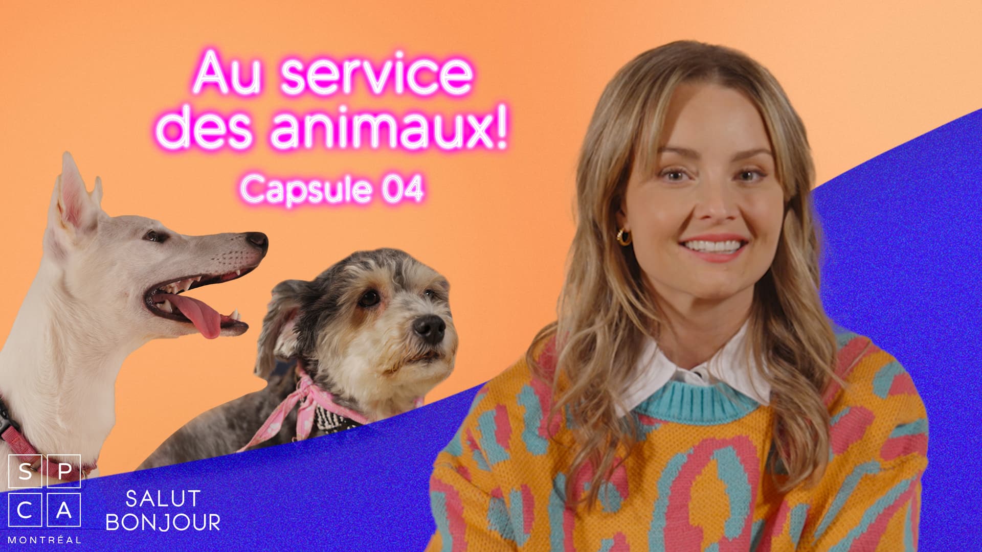 Comment décoder le langage de son chien ?