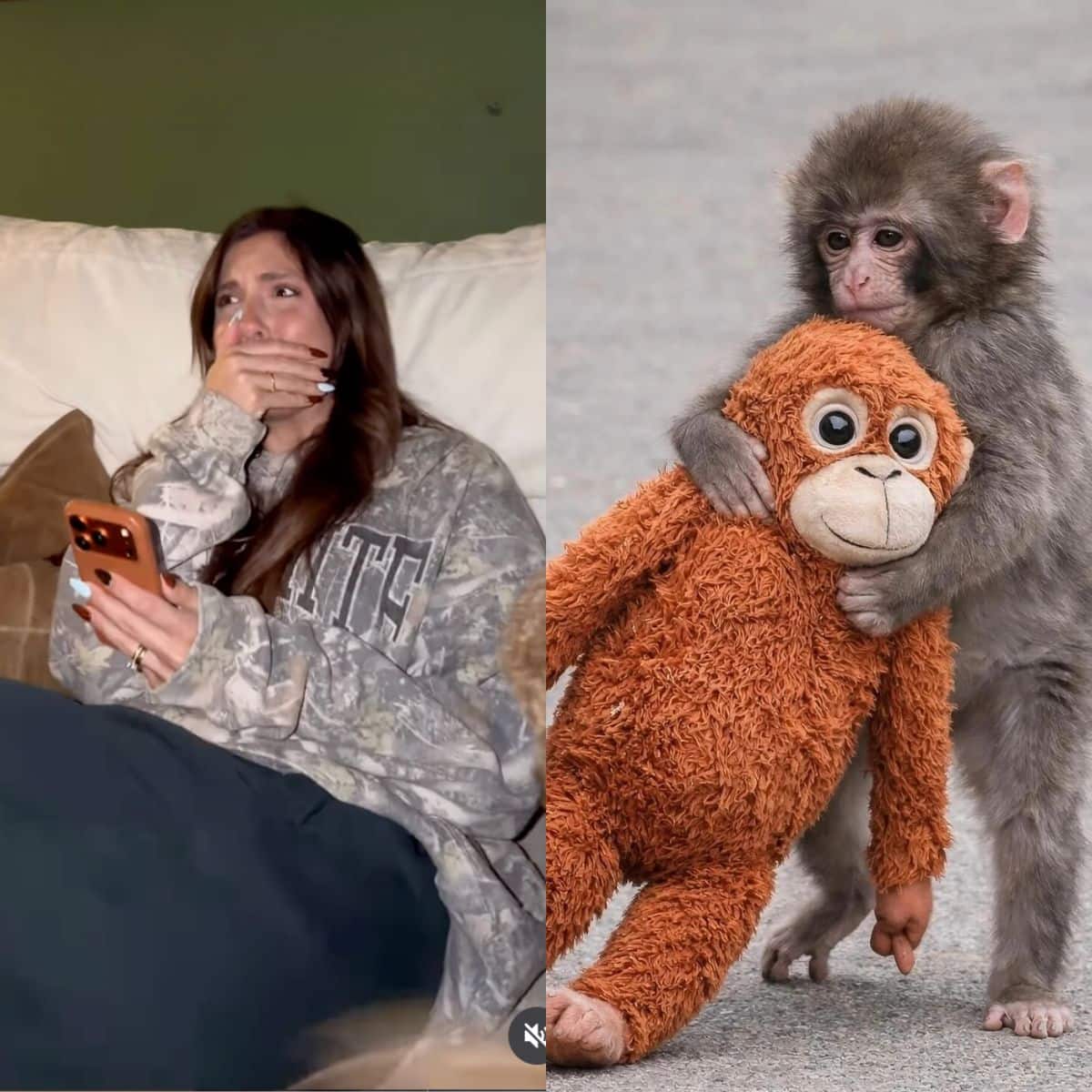 La nouvelle star qui craquer le Web surprend!