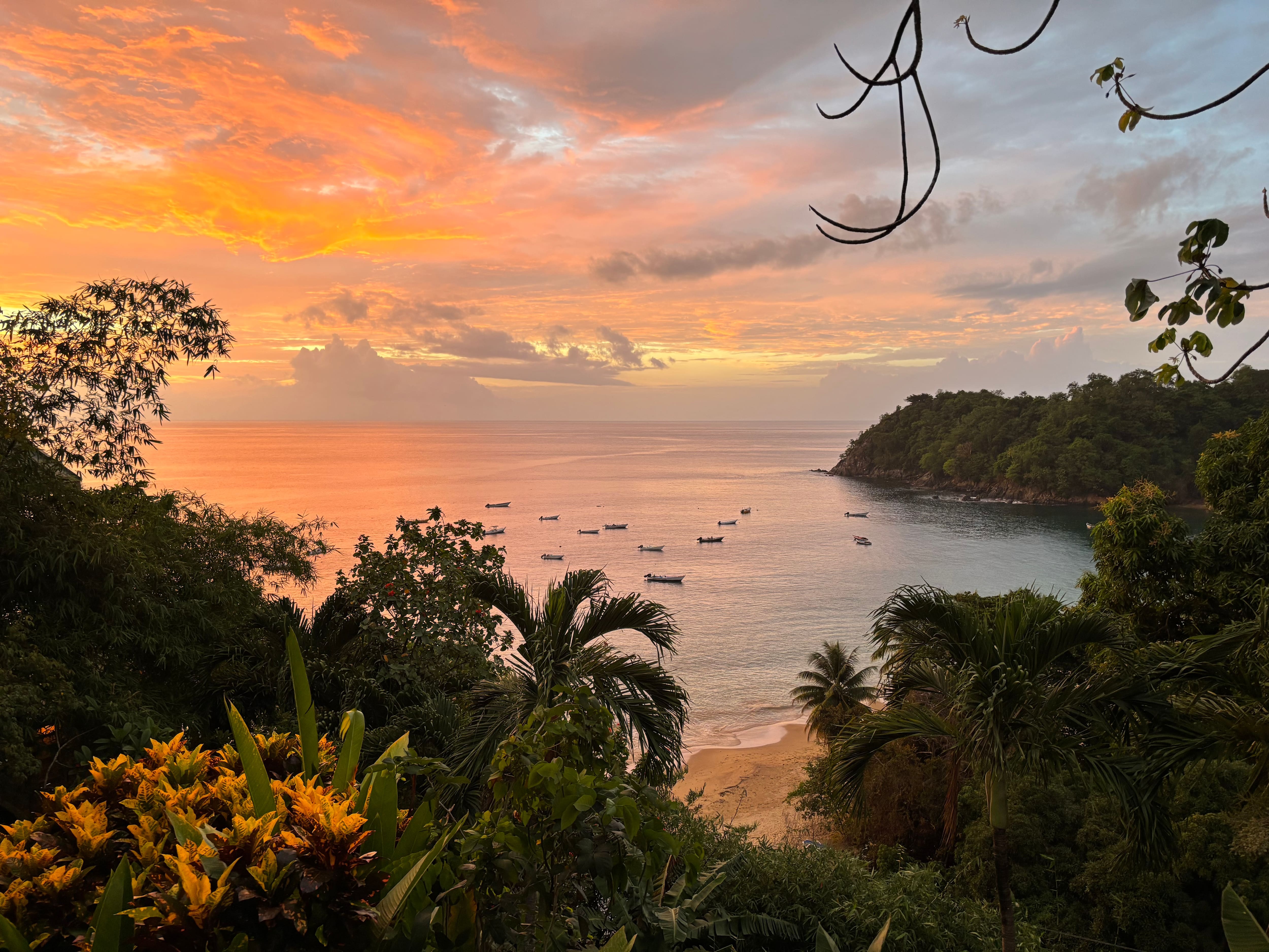 Tobago, l'&icirc;le (secr&egrave;te) des Cara&iuml;bes o&ugrave; partir &agrave; l'aventure