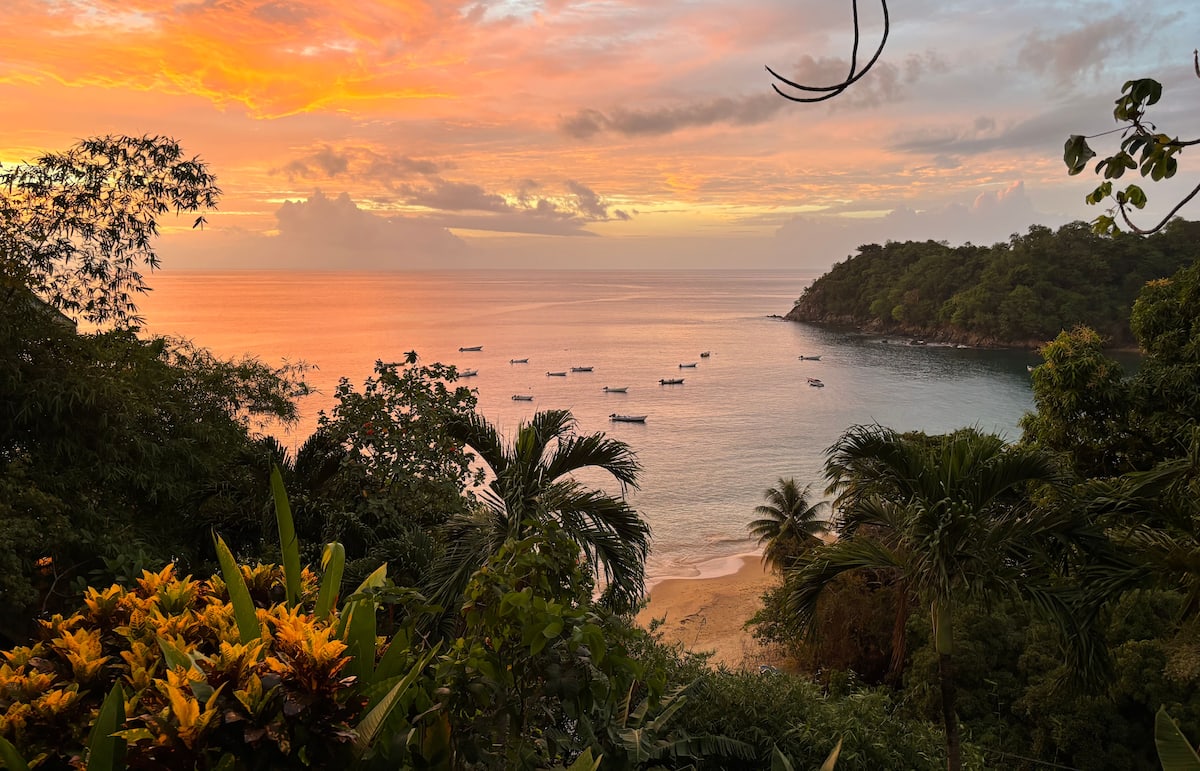 Tobago, l'île (secrète) des Caraïbes où partir à l'aventure