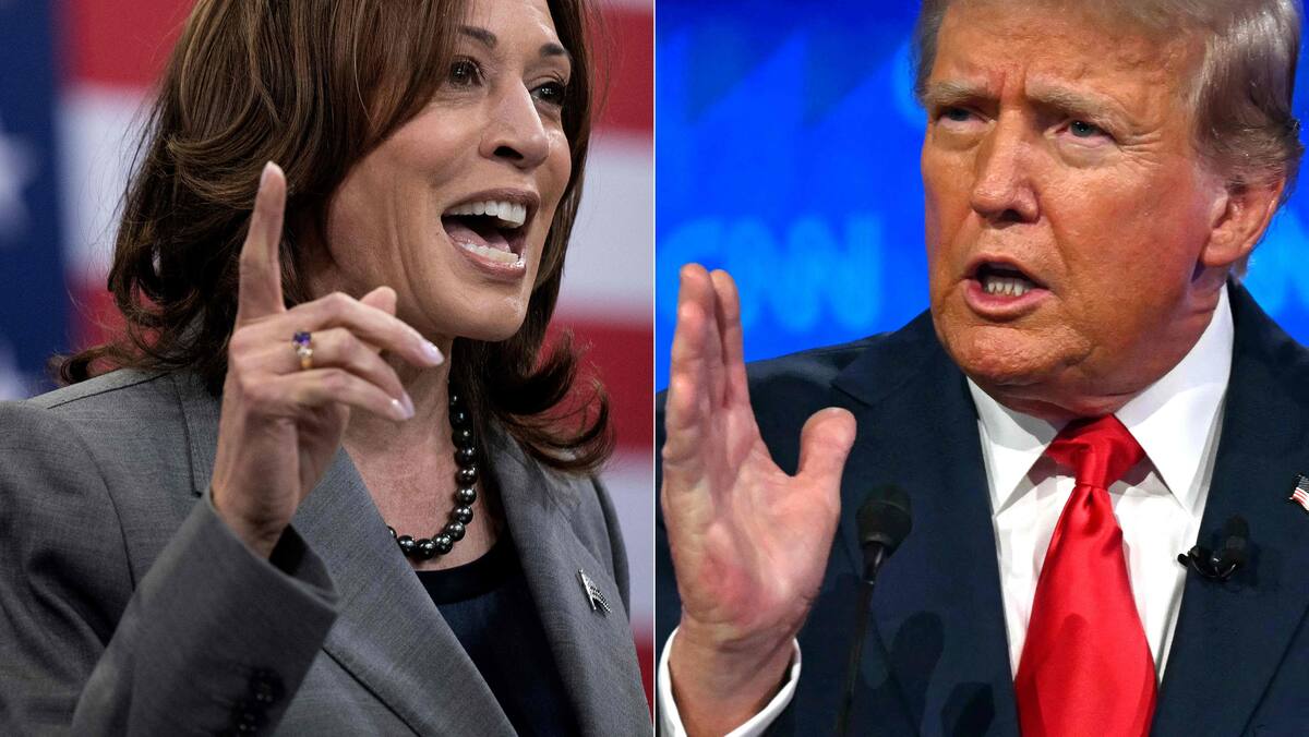 Présidentielle américaine: Harris et Trump à égalité
