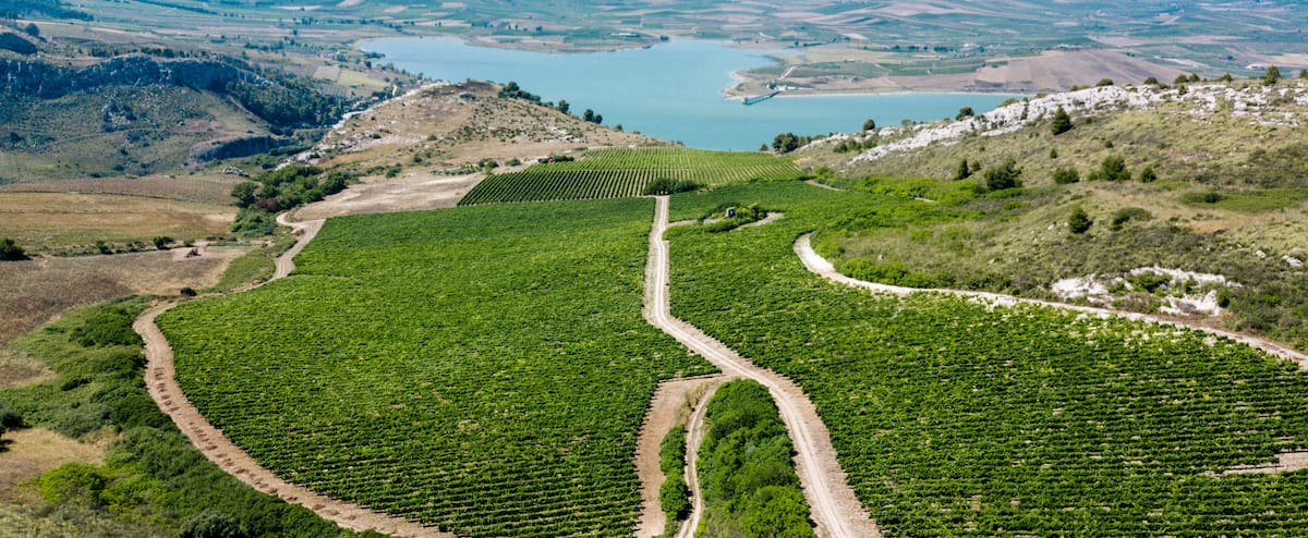 Planeta ou les multiples visages de la Sicile