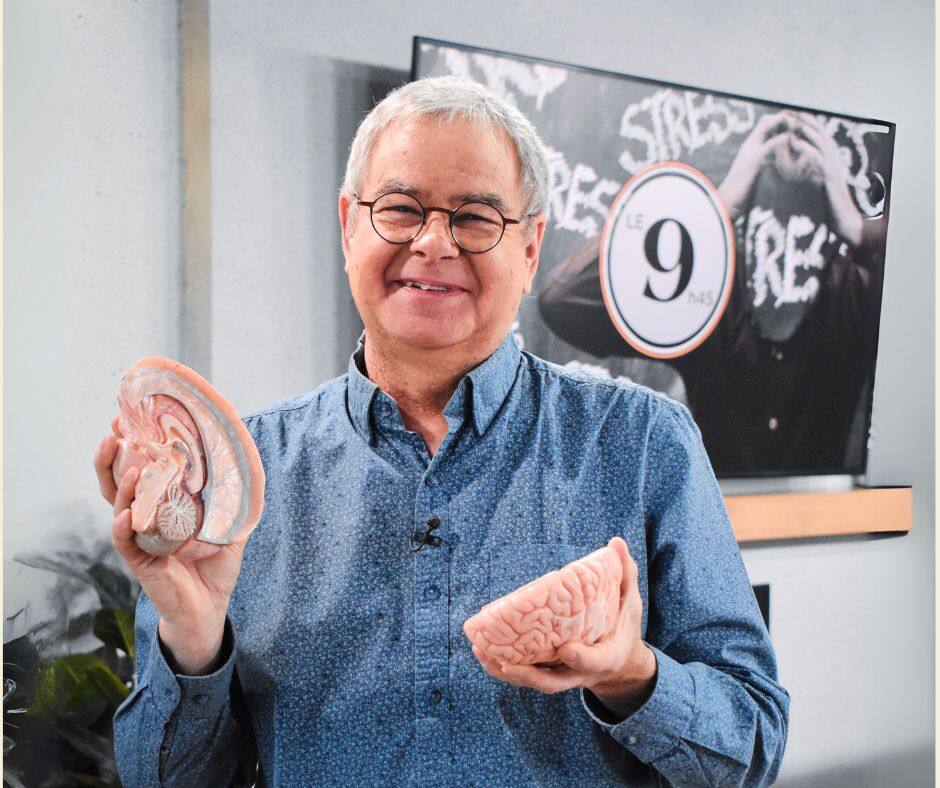 Stress : le comprendre et comment le calmer