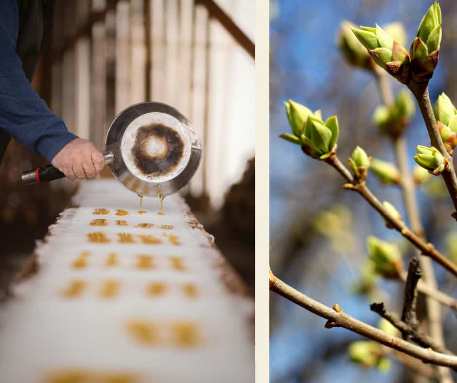 14 raisons d’avoir hâte au printemps 