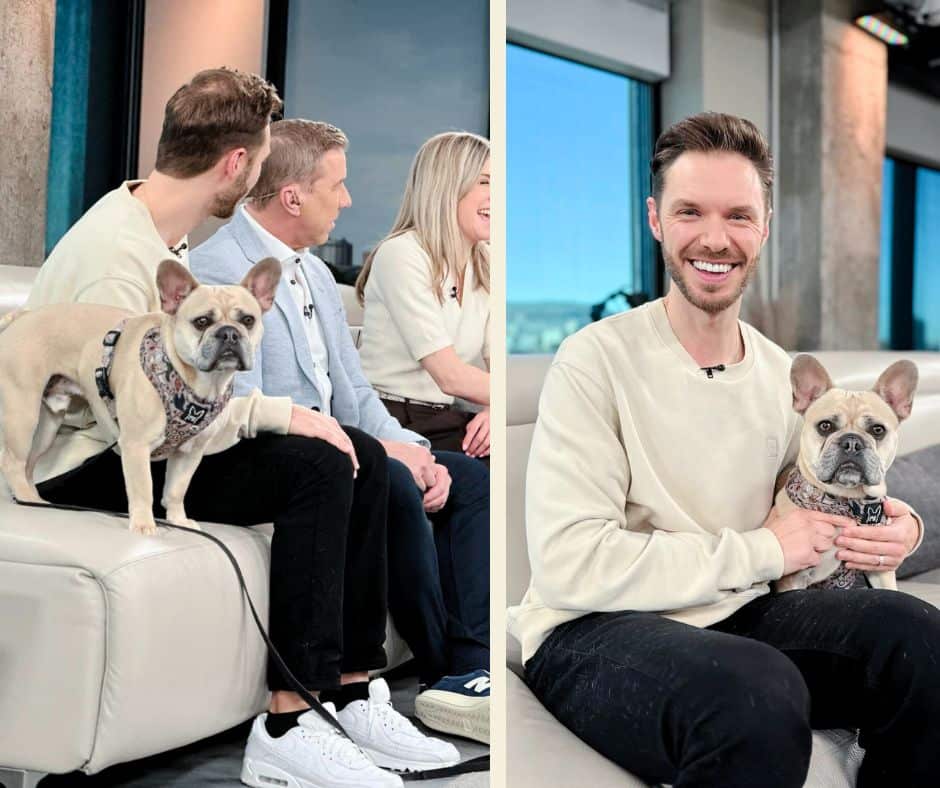 Une piscine privée pour chiens