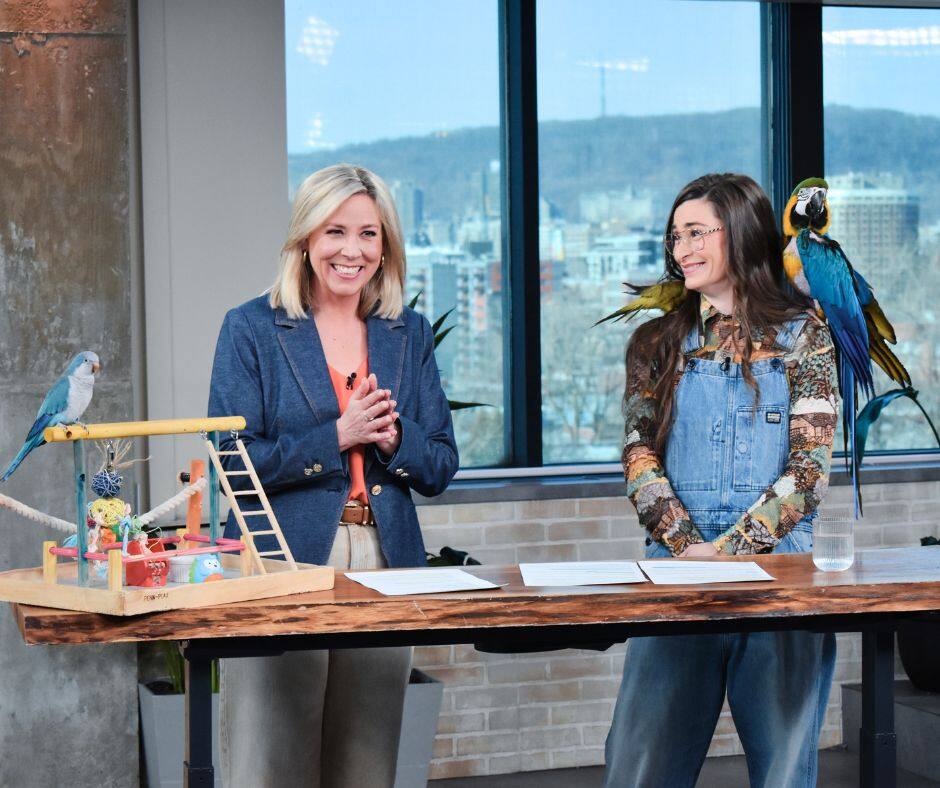 Tout savoir avant de l’accueillir chez soi