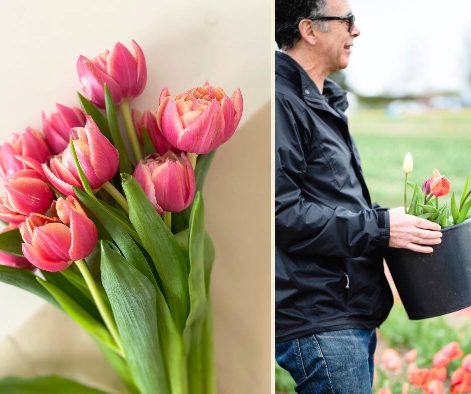 5 endroits magnifiques où cueillir des tulipes 