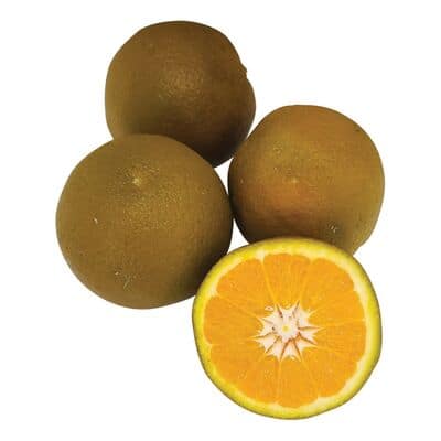 Carrito de compras con supermercado abstracto supermercado