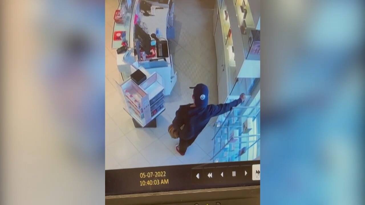 R&eacute;seaux de vols organis&eacute;s: un cauchemar pour les commer&ccedil;ants