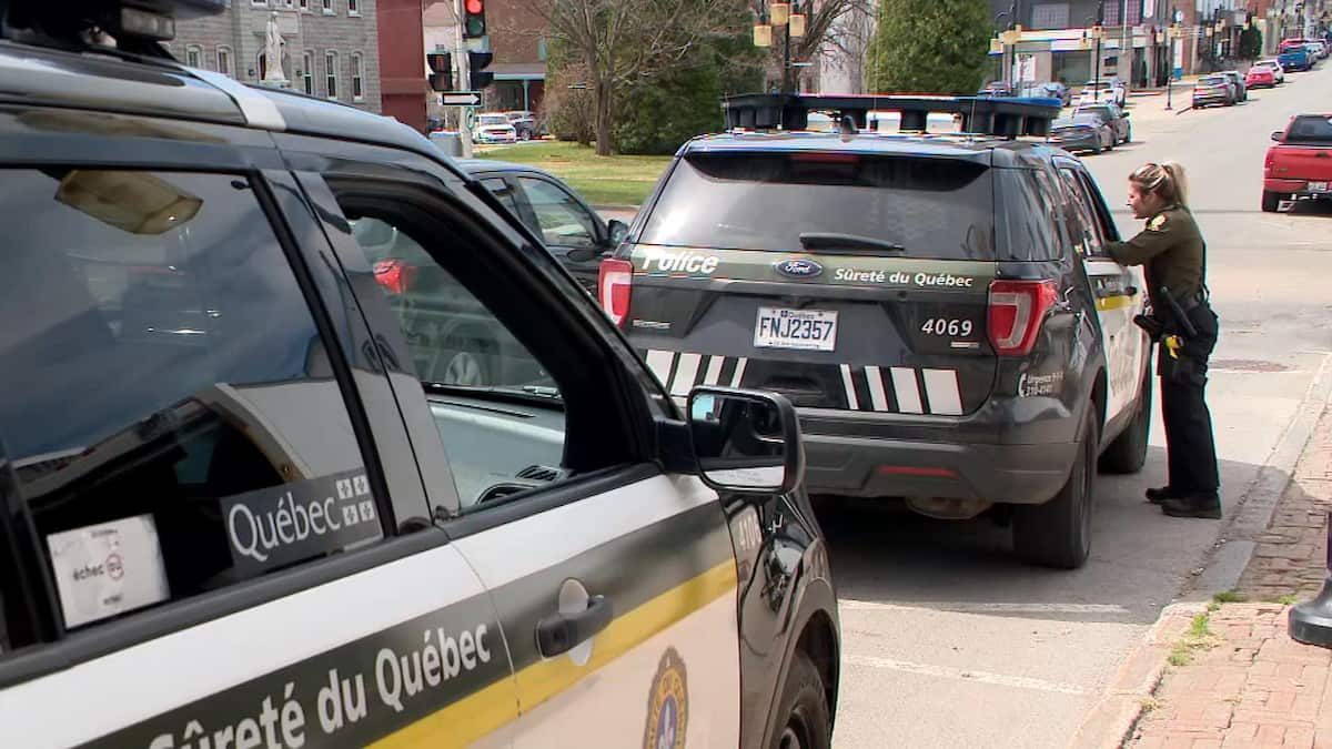 Mauricie: six arrestations et dix armes saisies dans une opération antidrogue