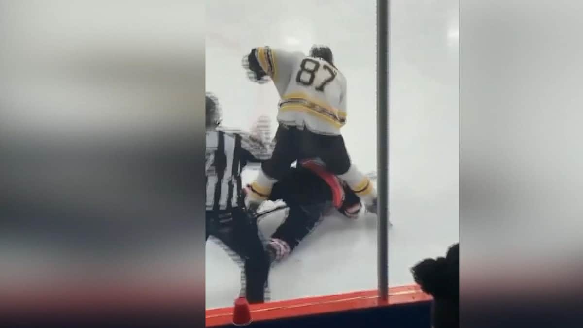 TO SEE | Donald Brashear is still acting up – Archyde