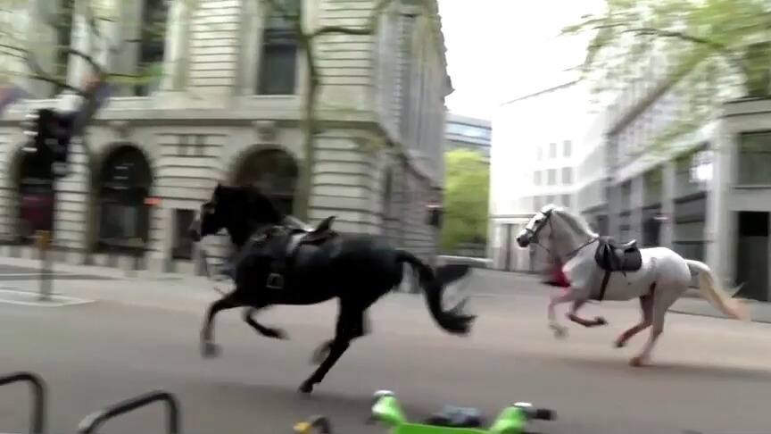 EN VID&Eacute;O | Des chevaux en cavale font plusieurs bless&eacute;s en plein centre de Londres