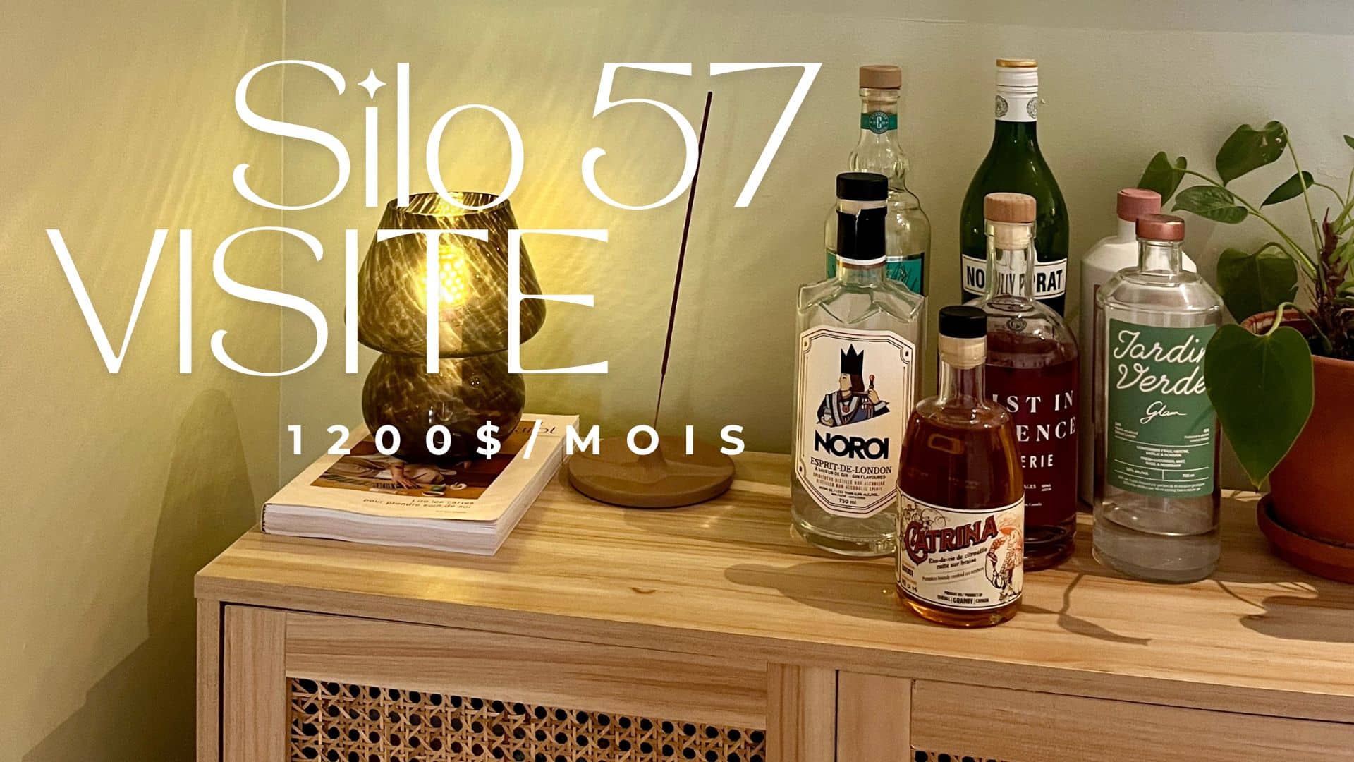 Un appartement à 1200$ par mois dans Rosemont