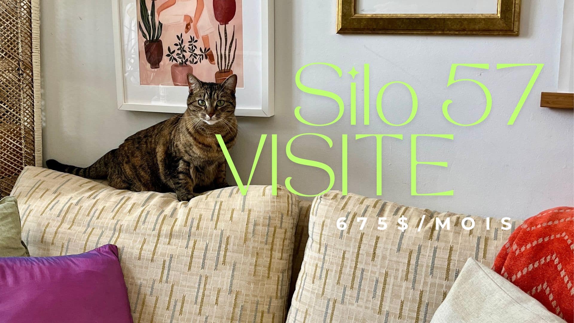 Un appartement à 675$ dans La Petite-Patrie