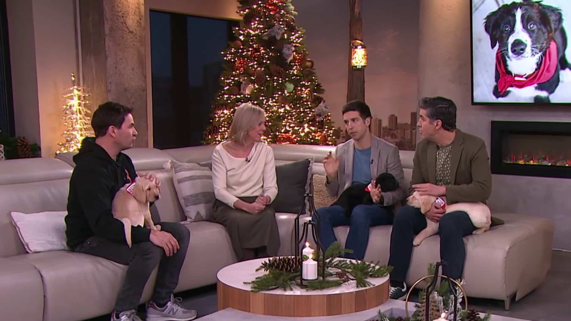 La fondation Mira en pénurie de famille d'accueil