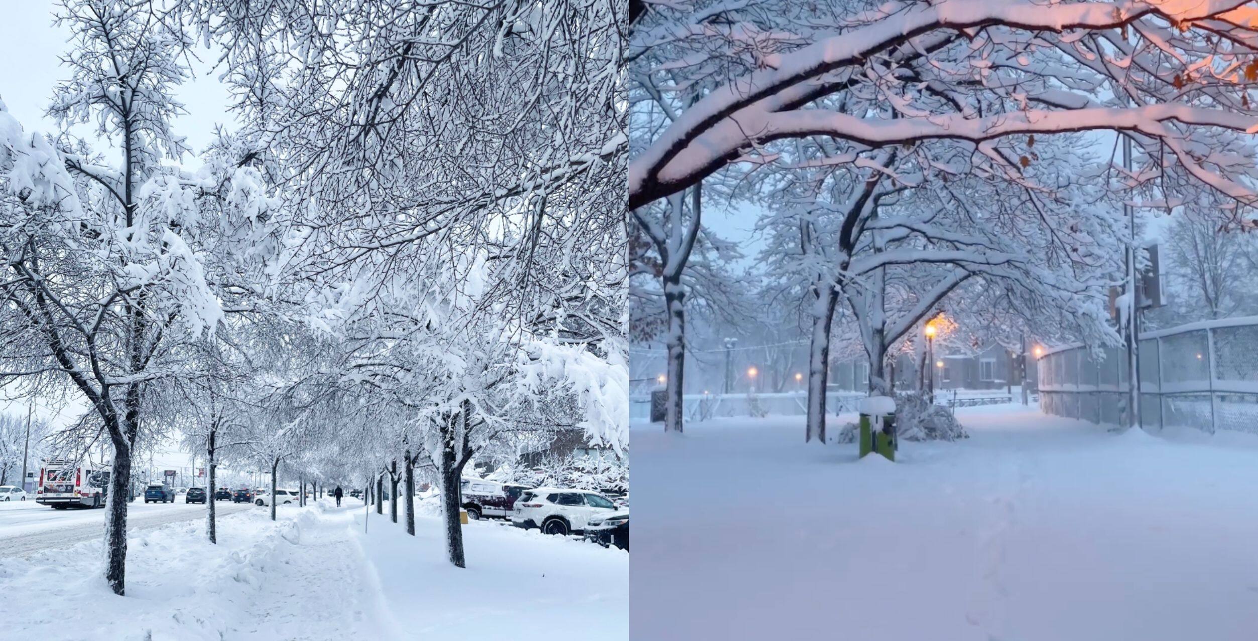 Les 21 meilleures images de la première tempête de neige Le Sac de chips
