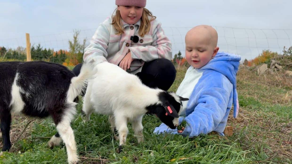 Élan de solidarité pour réaliser le rêve du petit Zack atteint d'un cancer incurable