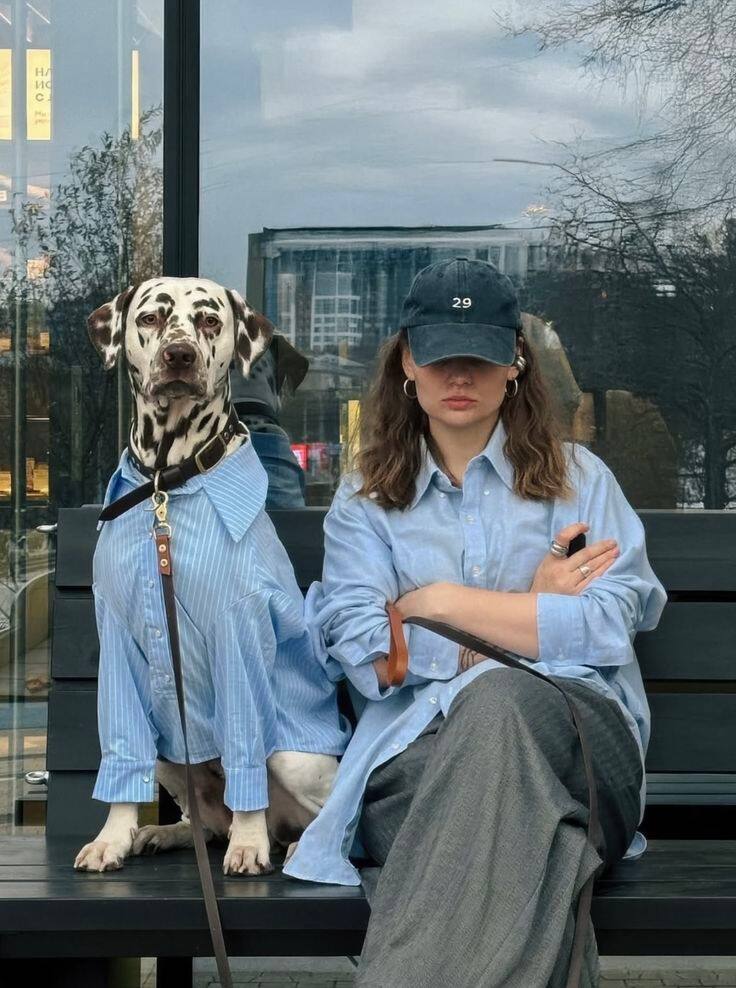 Ce centre d’achat interdit désormais les chiens