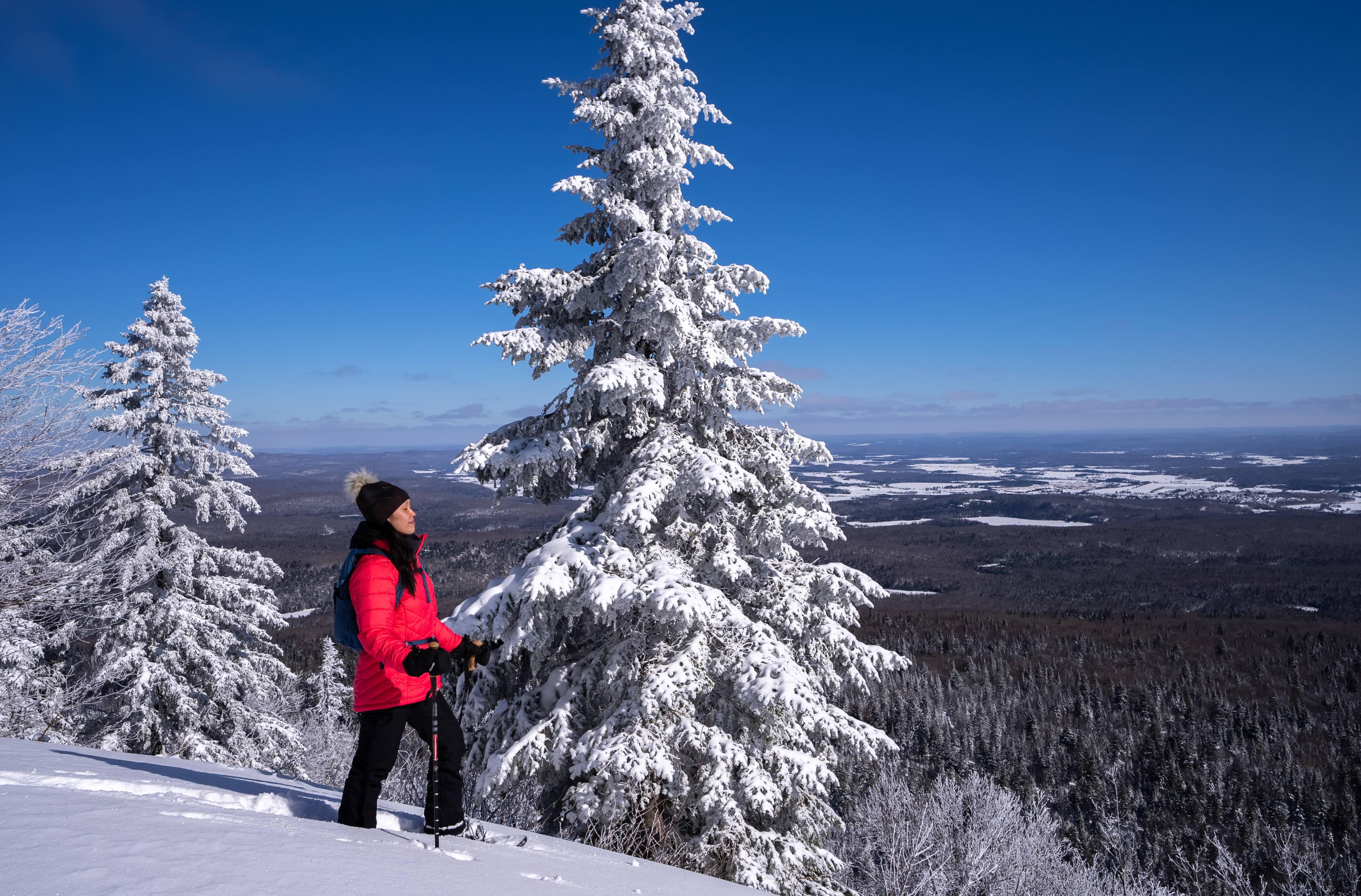Laurentides: 3 activités à découvrir cet hiver