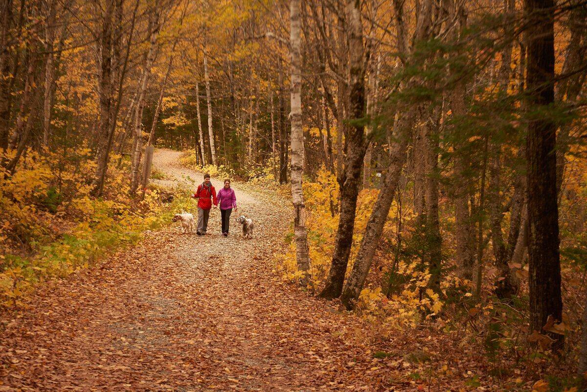La randonnée plus populaire que jamais