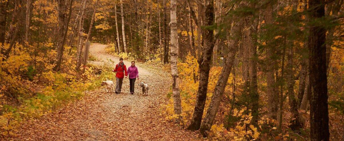 The hike more popular than ever 1